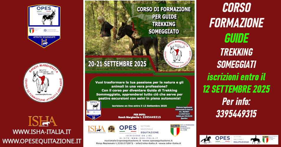 🟣 DIVENTA GUIDA DI TREKKING SOMMEGGIATO CON ASINI 🟣 DIVENTA GUIDA DI TREKKING SOMMEGGIATO CON ASINI